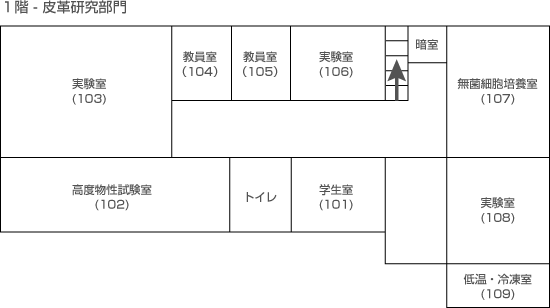 1階 - 皮革研究部門