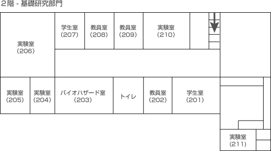 2階 - 基礎研究部門